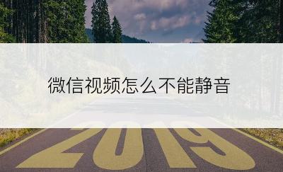 微信视频怎么不能静音