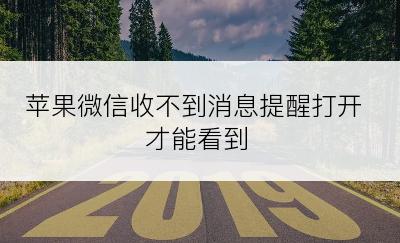 苹果微信收不到消息提醒打开才能看到