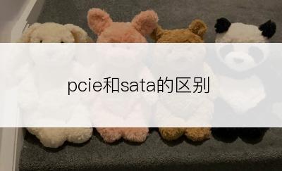 pcie和sata的区别