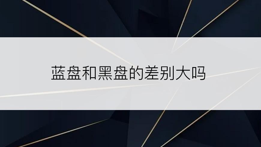 蓝盘和黑盘的差别大吗
