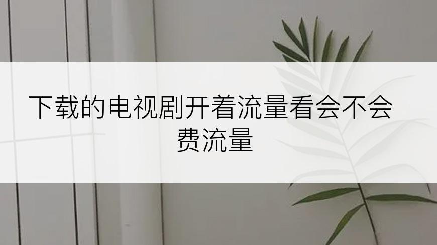下载的电视剧开着流量看会不会费流量