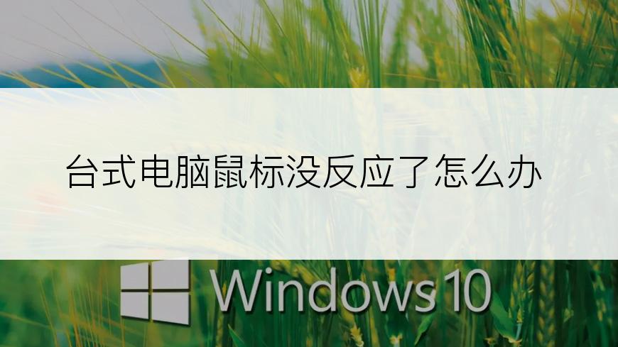 台式电脑鼠标没反应了怎么办