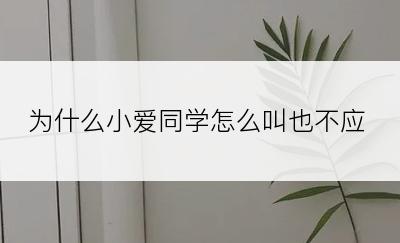 为什么小爱同学怎么叫也不应