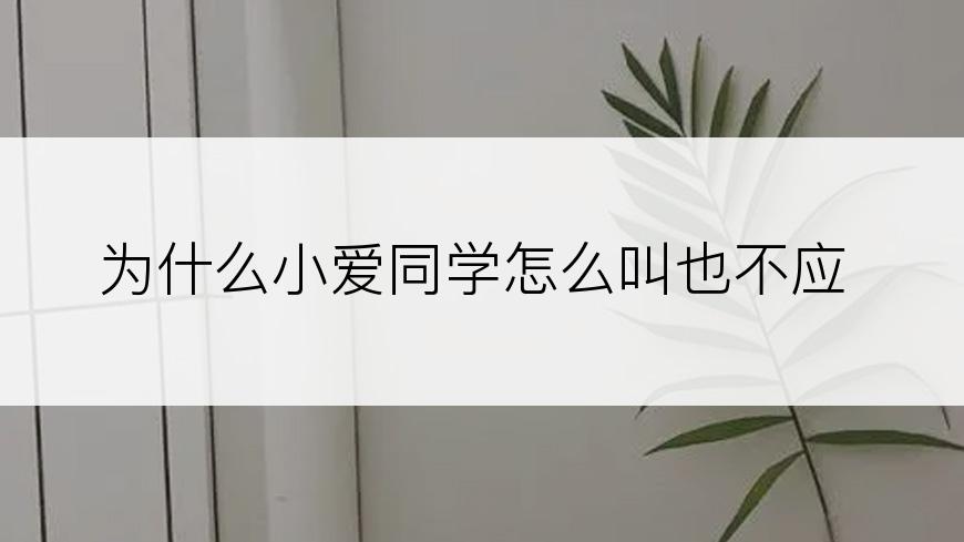 为什么小爱同学怎么叫也不应