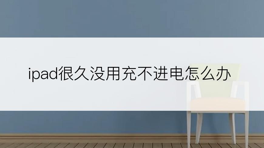 ipad很久没用充不进电怎么办
