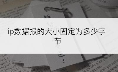 ip数据报的大小固定为多少字节
