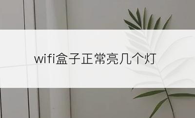 wifi盒子正常亮几个灯