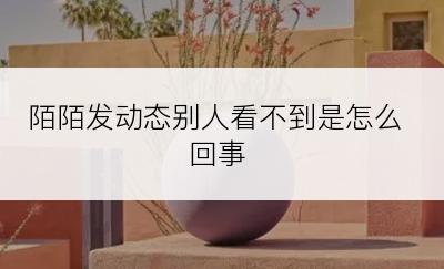 陌陌发动态别人看不到是怎么回事
