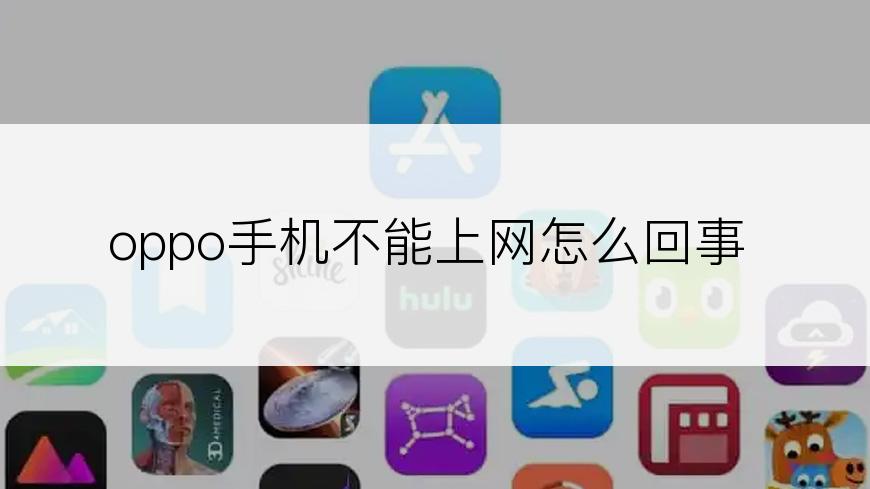 oppo手机不能上网怎么回事
