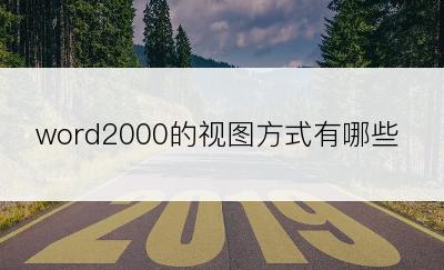 word2000的视图方式有哪些