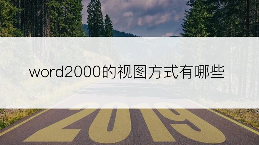 word2000的视图方式有哪些