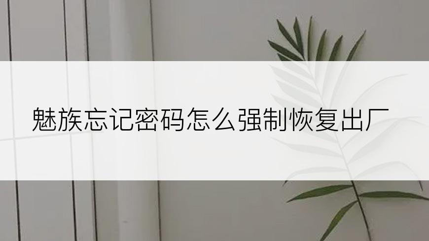 魅族忘记密码怎么强制恢复出厂