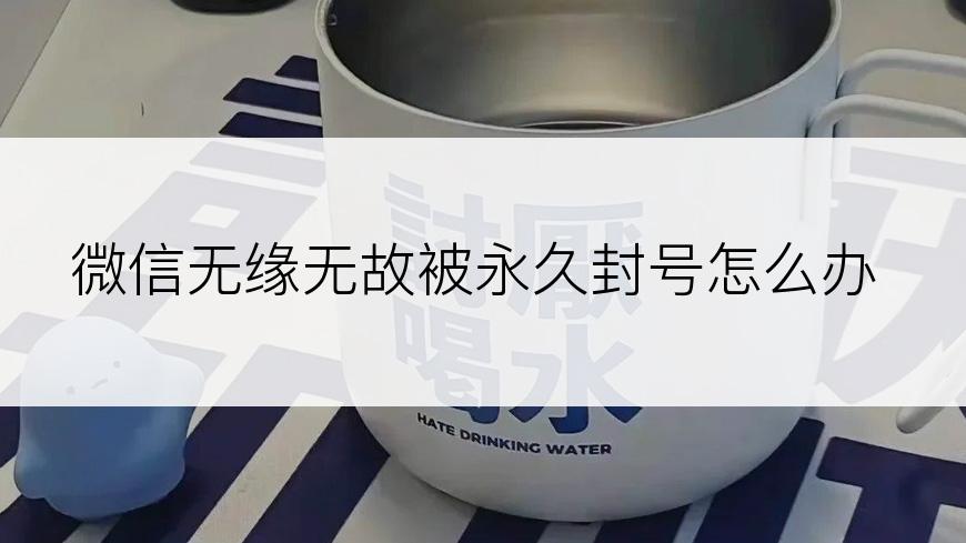 微信无缘无故被永久封号怎么办