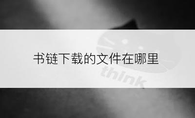 书链下载的文件在哪里