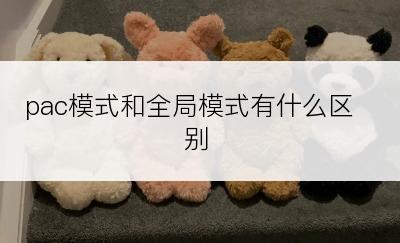 pac模式和全局模式有什么区别