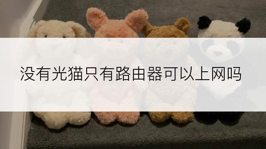 没有光猫只有路由器可以上网吗