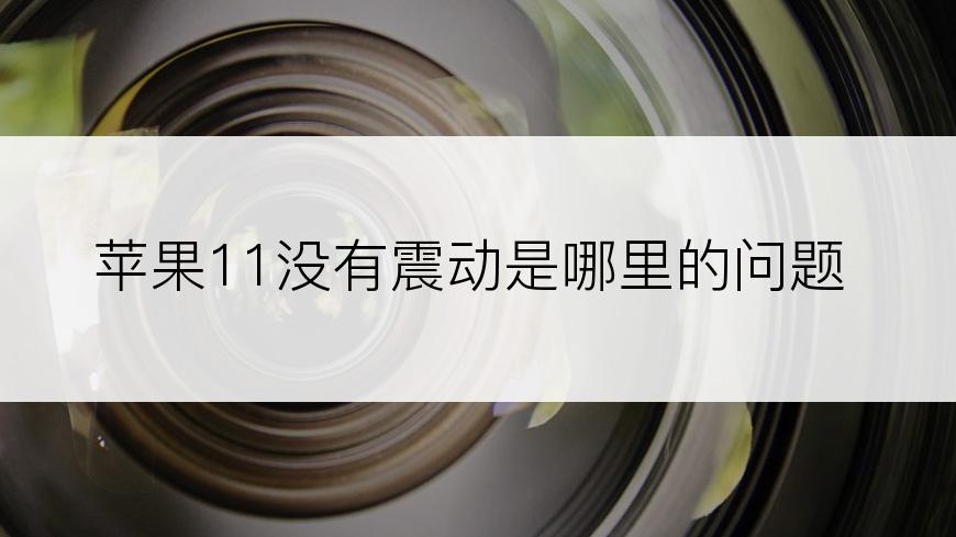 苹果11没有震动是哪里的问题