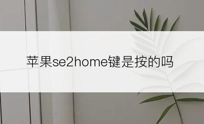 苹果se2home键是按的吗