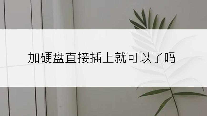 加硬盘直接插上就可以了吗