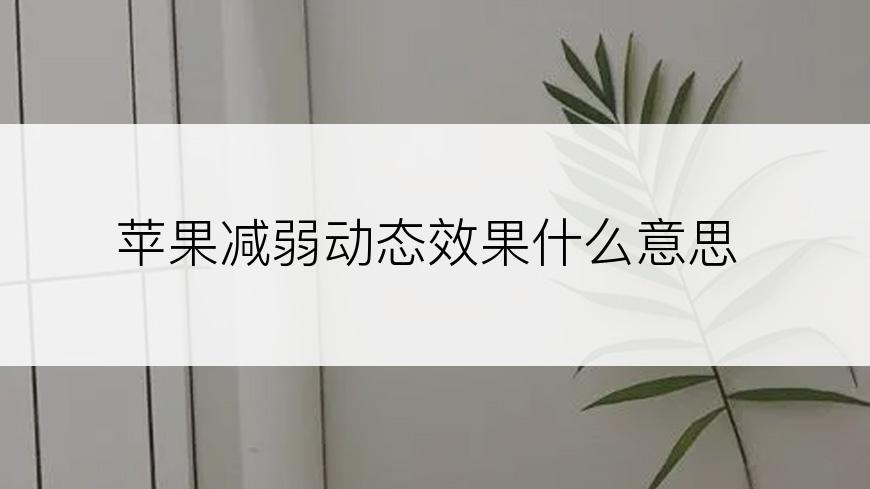 苹果减弱动态效果什么意思
