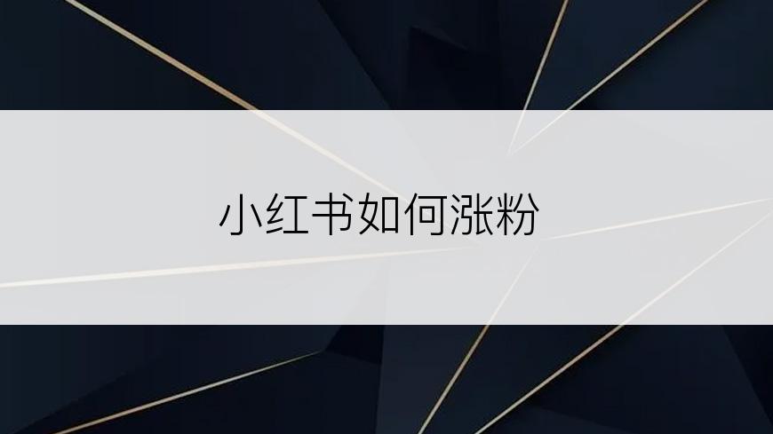 小红书如何涨粉
