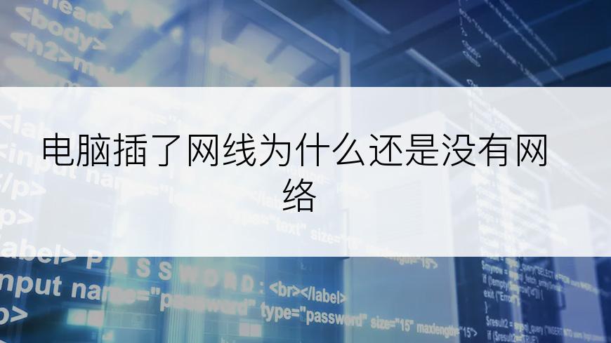电脑插了网线为什么还是没有网络
