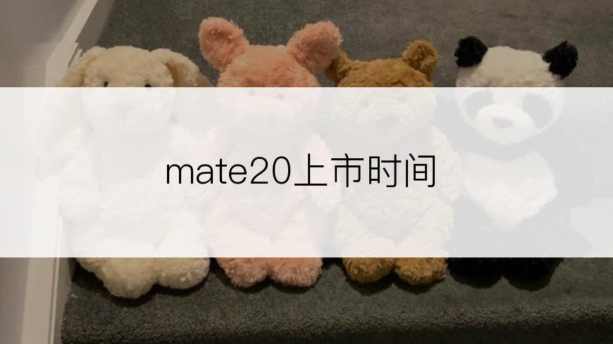mate20上市时间