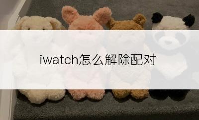 iwatch怎么解除配对