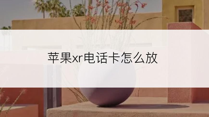 苹果xr电话卡怎么放