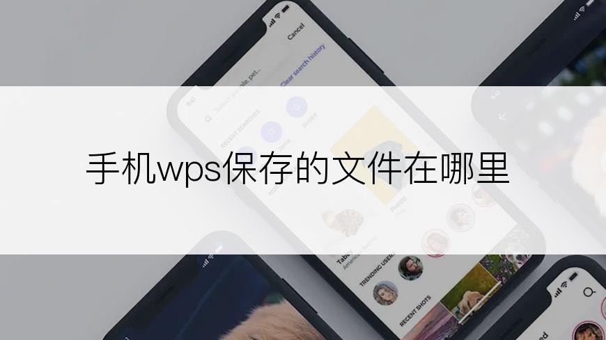 手机wps保存的文件在哪里