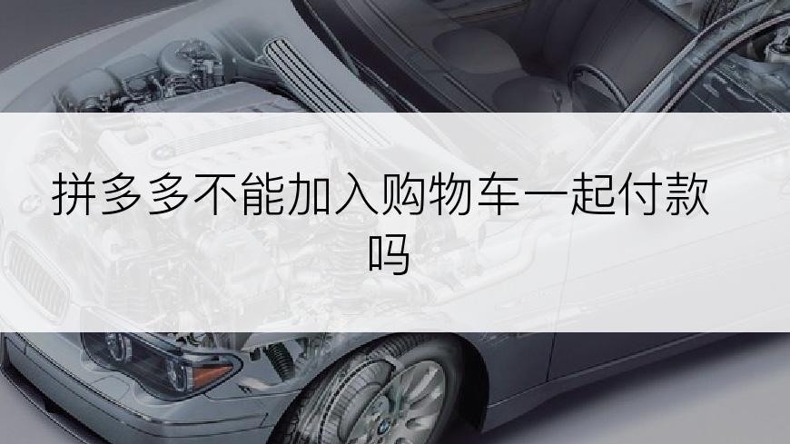 拼多多不能加入购物车一起付款吗