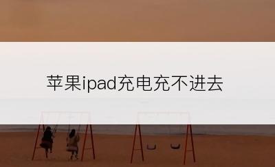 苹果ipad充电充不进去