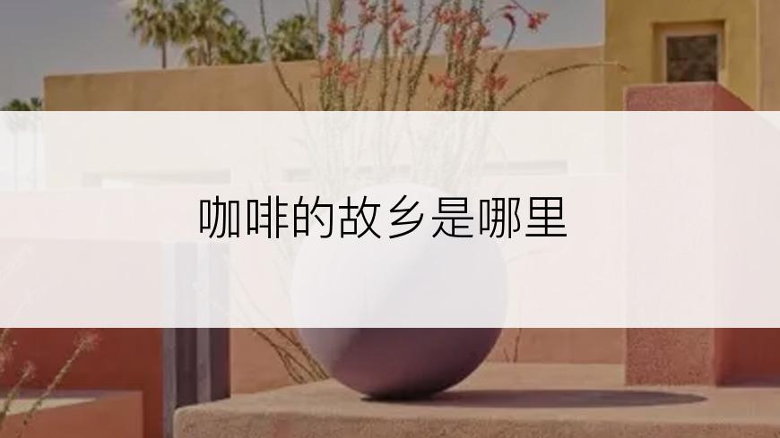 咖啡的故乡是哪里