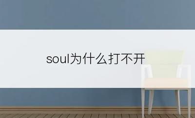 soul为什么打不开