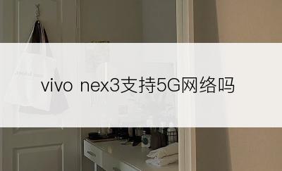 vivo nex3支持5G网络吗