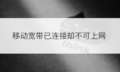 移动宽带已连接却不可上网