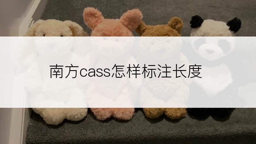 南方cass怎样标注长度
