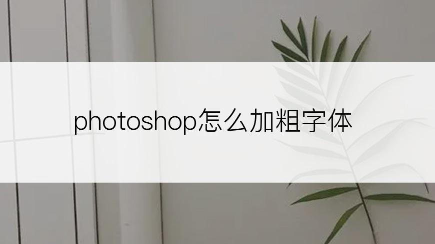 photoshop怎么加粗字体