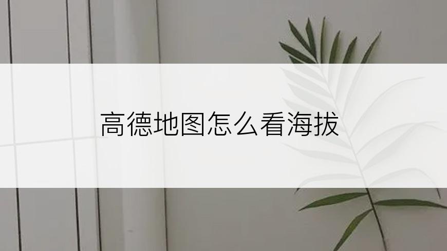 高德地图怎么看海拔