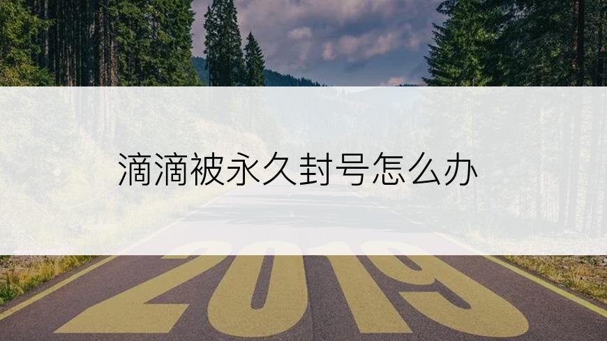 滴滴被永久封号怎么办