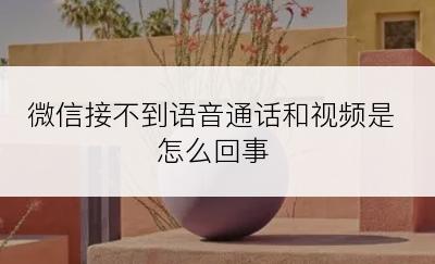 微信接不到语音通话和视频是怎么回事