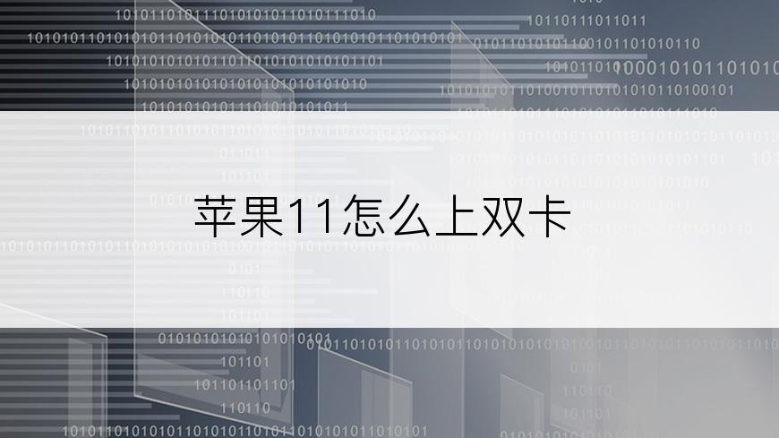 苹果11怎么上双卡