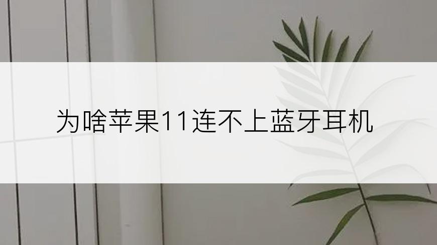为啥苹果11连不上蓝牙耳机