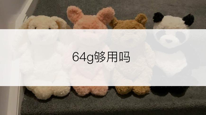 64g够用吗
