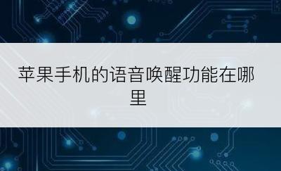 苹果手机的语音唤醒功能在哪里