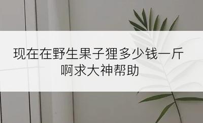 现在在野生果子狸多少钱一斤啊求大神帮助