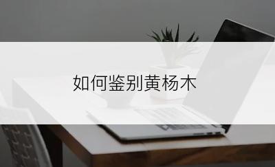 如何鉴别黄杨木