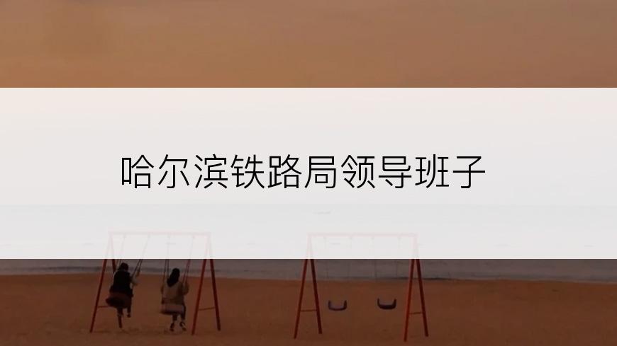 哈尔滨铁路局领导班子