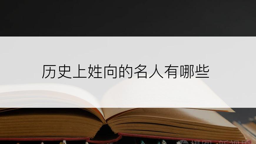 历史上姓向的名人有哪些