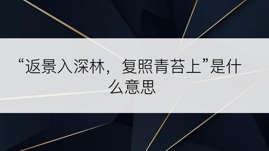 “返景入深林，复照青苔上”是什么意思